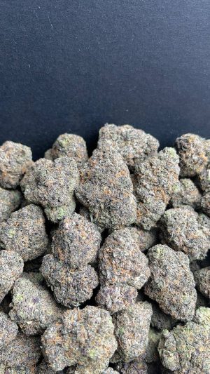BLACK CHERRY GELATO BLACK CHERRY GELATO