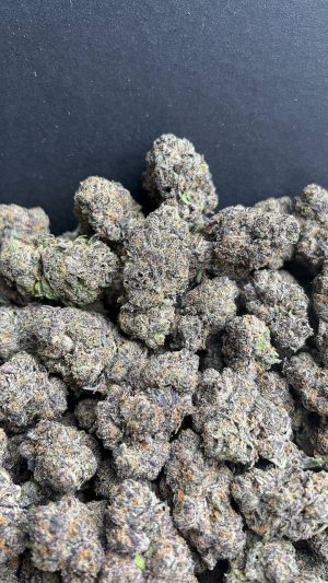 BLUEBERRY GELATO BLUEBERRY GELATO