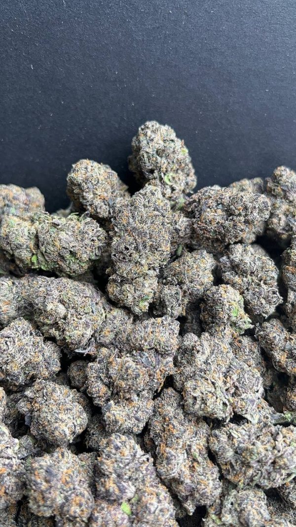BLUEBERRY GELATO