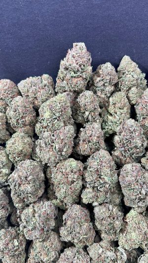 GELATO 47(2) GELATO 47