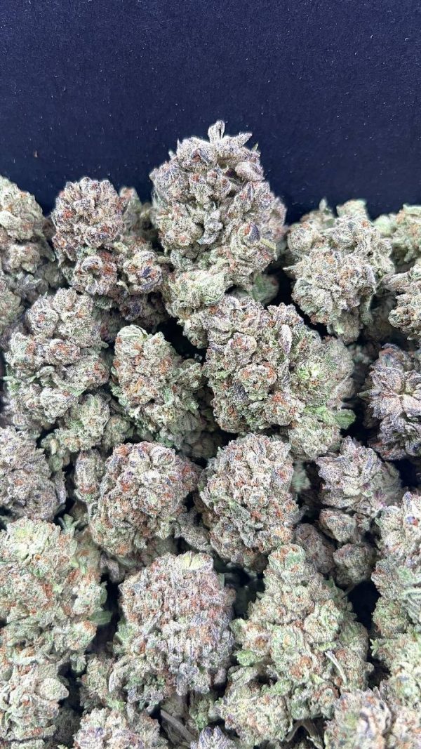 GELATO CAKE