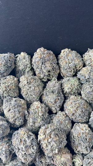 GELATO KING (2) GELATO KING STRAIN
