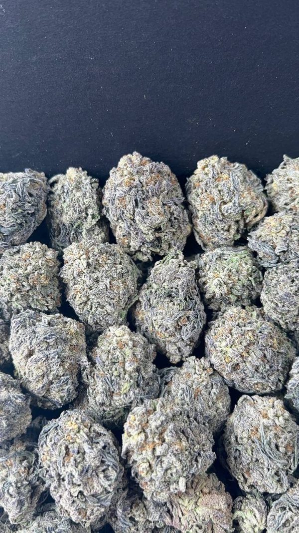 GELATO KING STRAIN