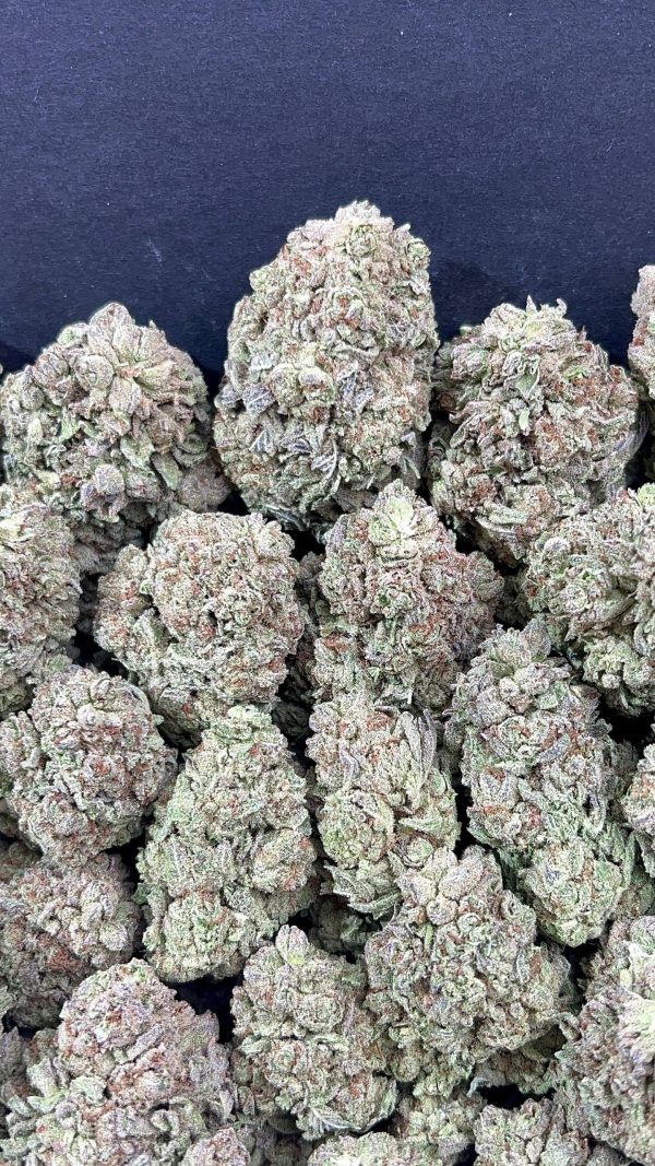 GELATO KING