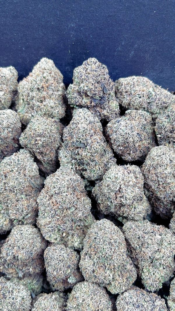 GUMBO SHERBET