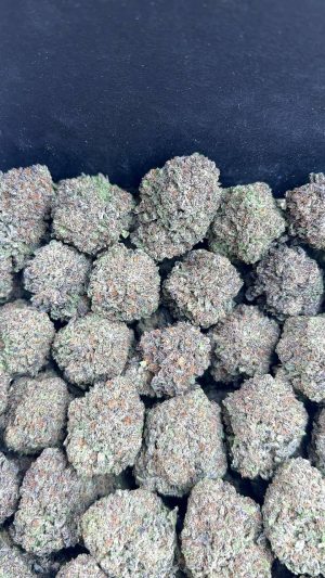 ITALIAN ICE ITALIAN ICE CANNABIS STRAIN