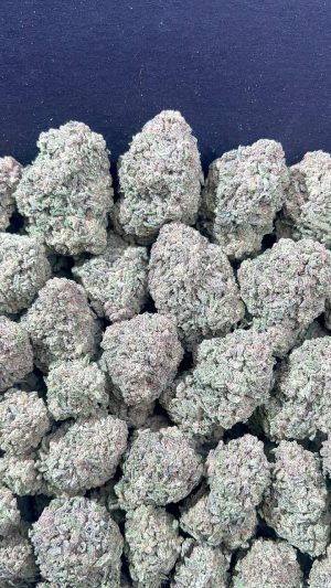 MAC N CHEESE PREMIUM MAC N CHEESE STRAIN