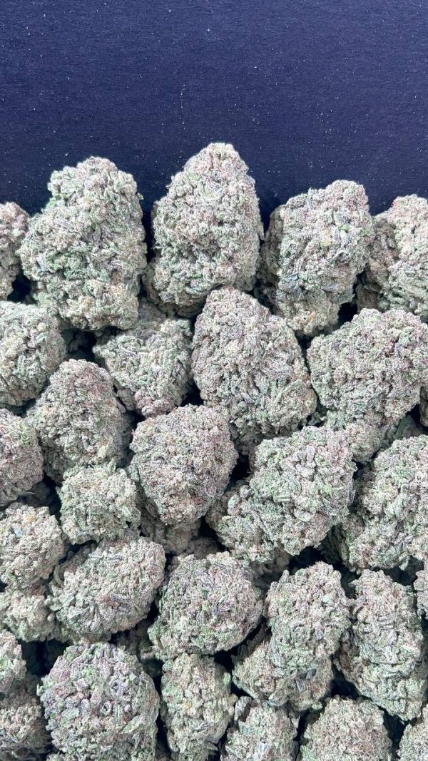 PREMIUM MAC N CHEESE STRAIN