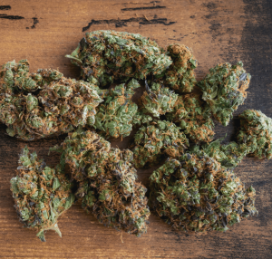 Strains